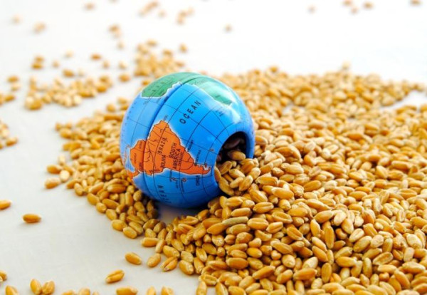 ΟΗΕ: Οι τιμές τροφίμων αυξήθηκαν παγκοσμίως κατά 0,3% τον Απρίλιο